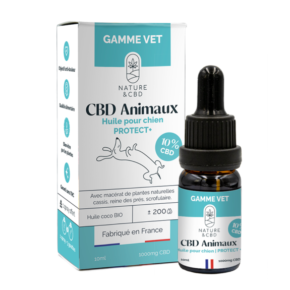 huile-cbd-animaux-protect-10-chien-lerepereducbd