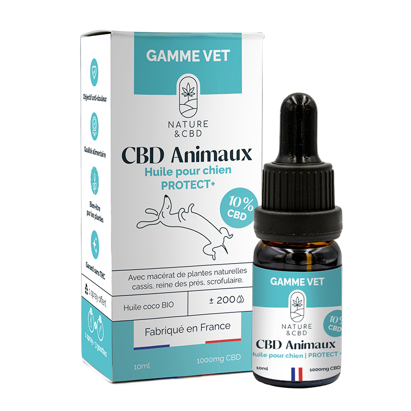 huile-cbd-animaux-protect-10-chien-lerepereducbd