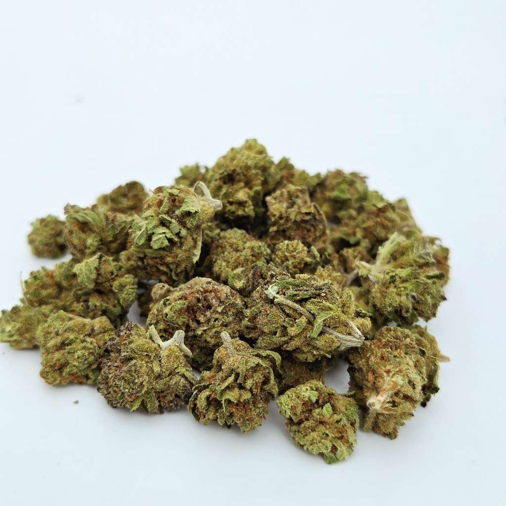 small bud blueberry le repère du cbd