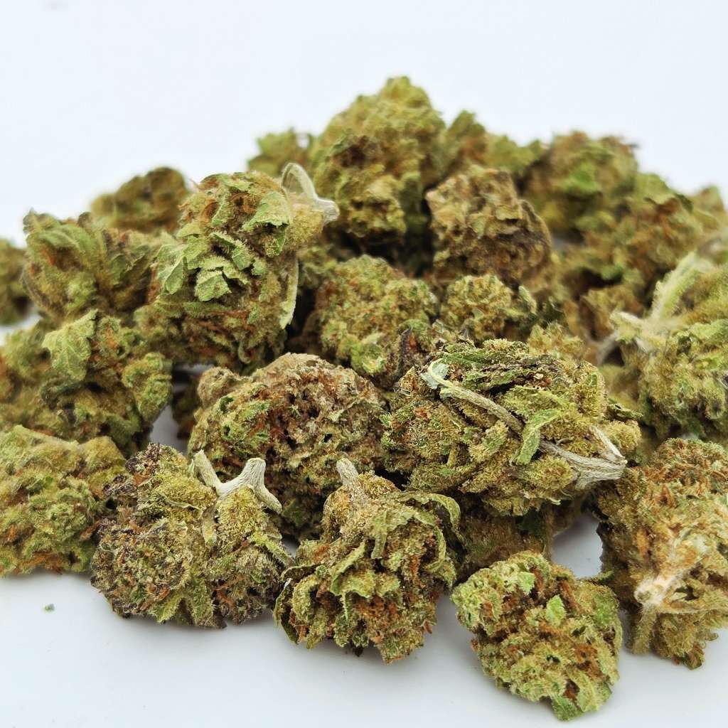 small bud blueberry le repère du cbd