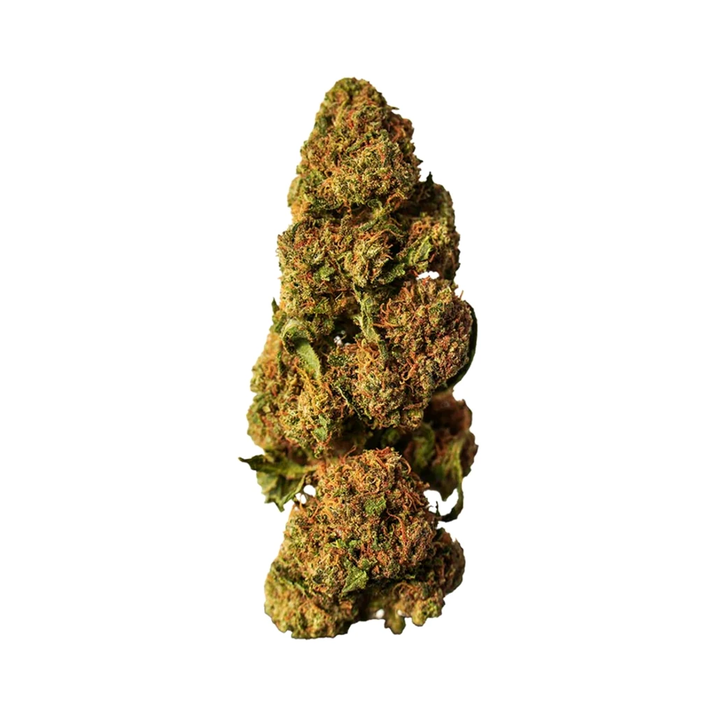 đŽ4/5 Orange Bud Xtrem Strong đCF
