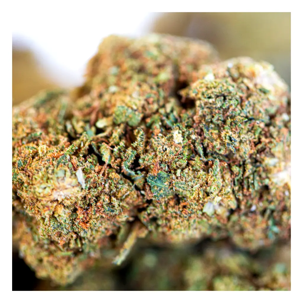 🔴 4.5/5 Royal Cheese Xtrem Strong 🧀