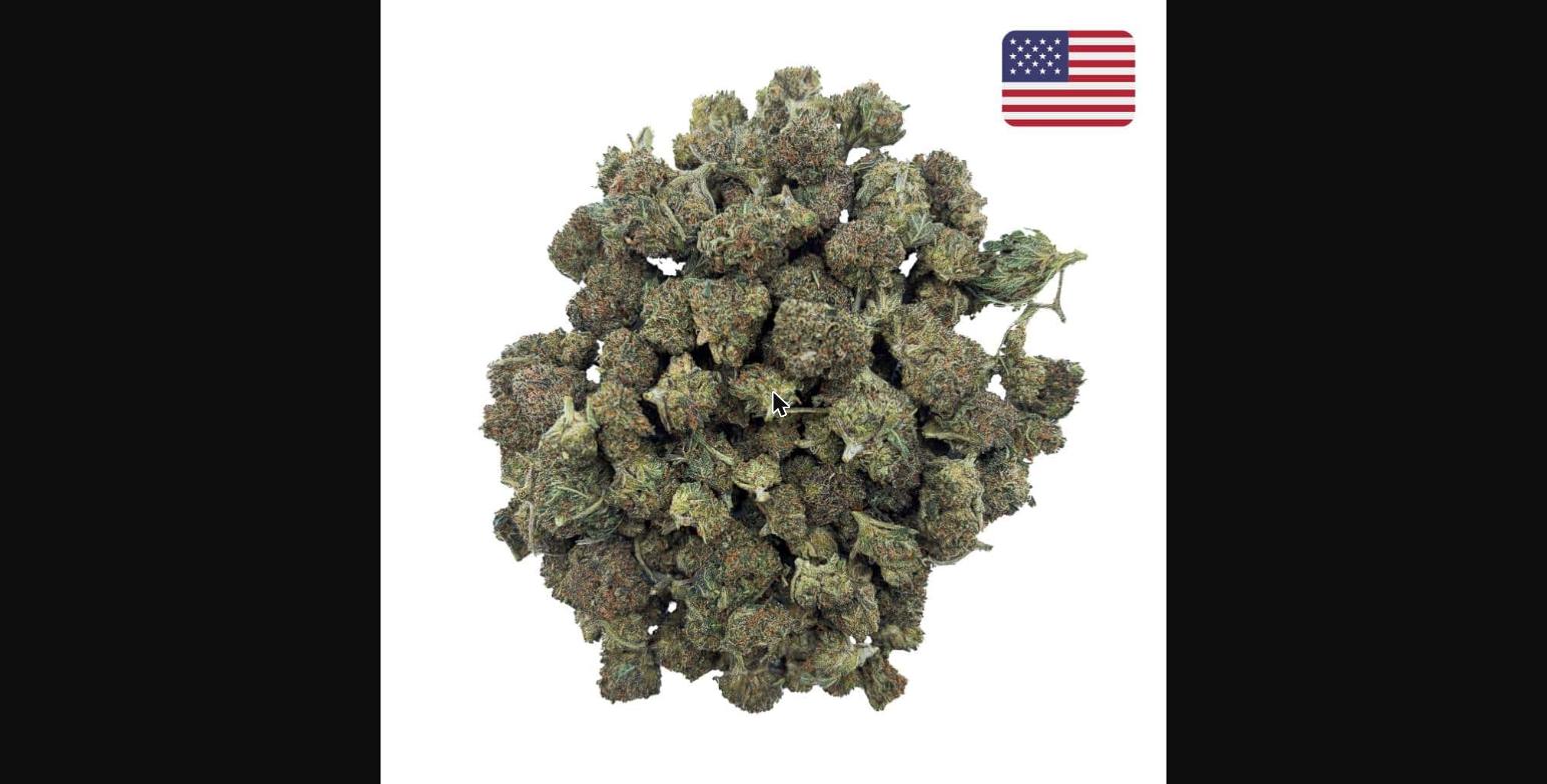 🔴 4/5 Blackberry Kush S.B Xtrem Strong 🫐